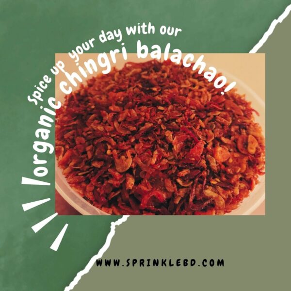Authentic homemade food in Bangladesh available at SprinkleBD.